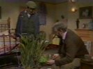 At Miss Griffin's suggestion, Des wires up Netta's plant to 'protect' him from the Xux