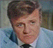 Brian Keith as Stephen Halliday